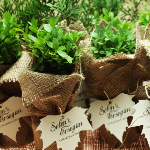 Özel Kesimli Kartlar